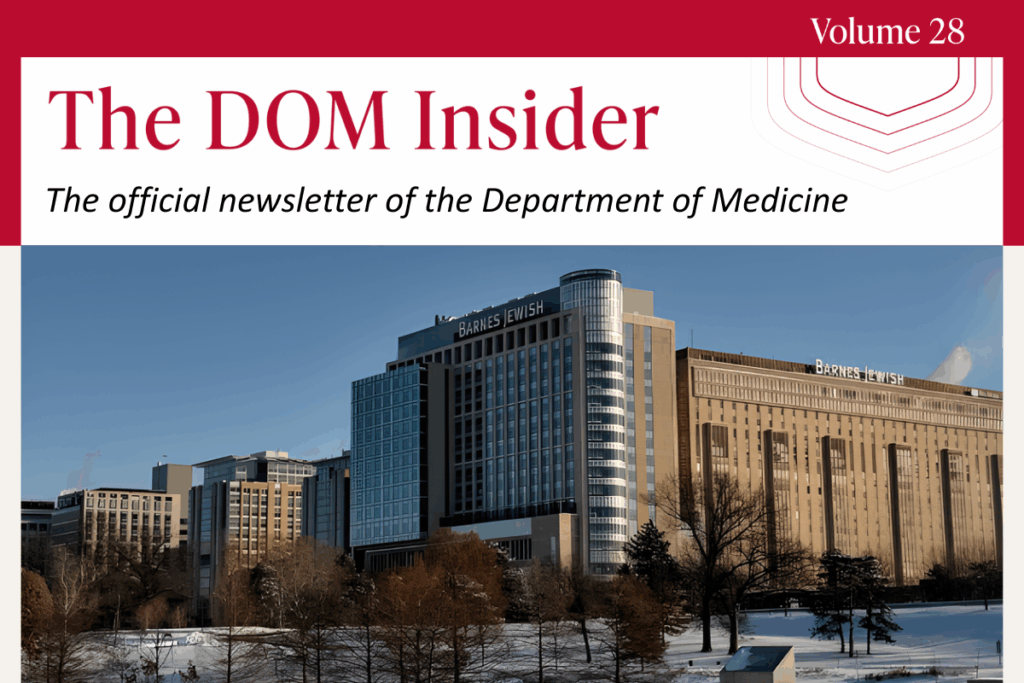 The DOM Insider – Vol. 28