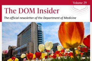 DOM Insider Volume 29